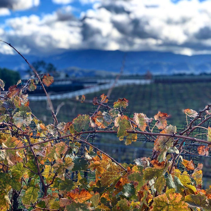 March 24, 2019: SPNDX Stampede Temecula